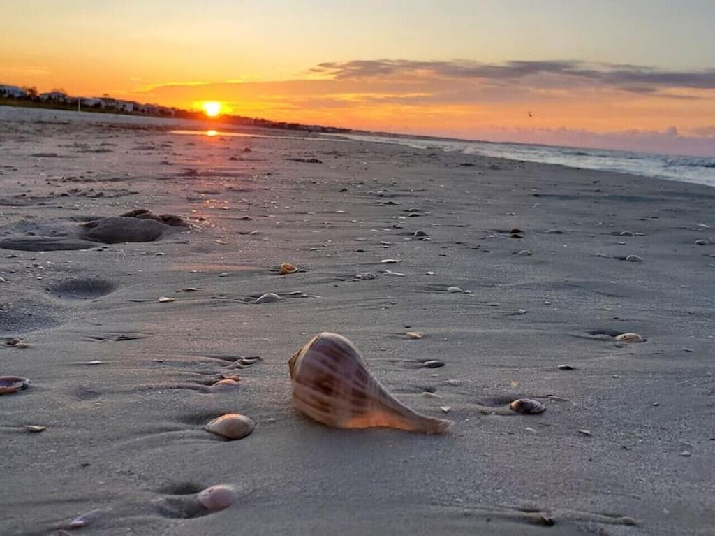Tortuga Tillys Cape San Blas Exterior foto